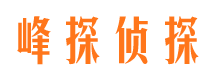 山西市调查公司